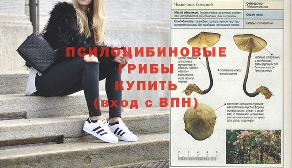кокаин колумбия Алексин